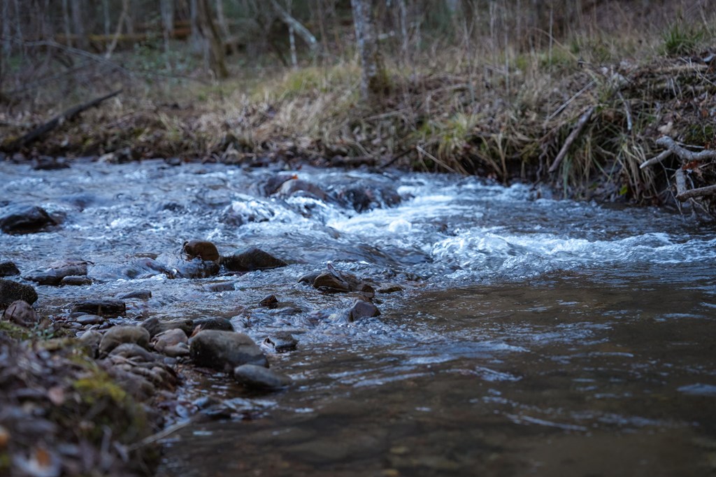 490 Red Wolf Run Franklin, NC 28734 - Photo 14 of 83