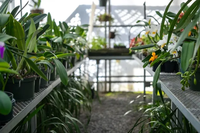 $4,490,000 | 490 Red Wolf Run, Franklin, NC 28734