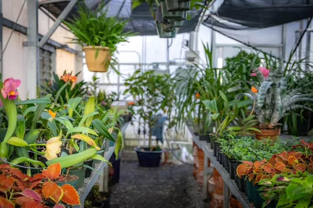 $4,490,000 | 490 Red Wolf Run, Franklin, NC 28734