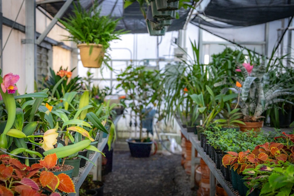 490 Red Wolf Run Franklin, NC 28734 - Photo 83 of 83