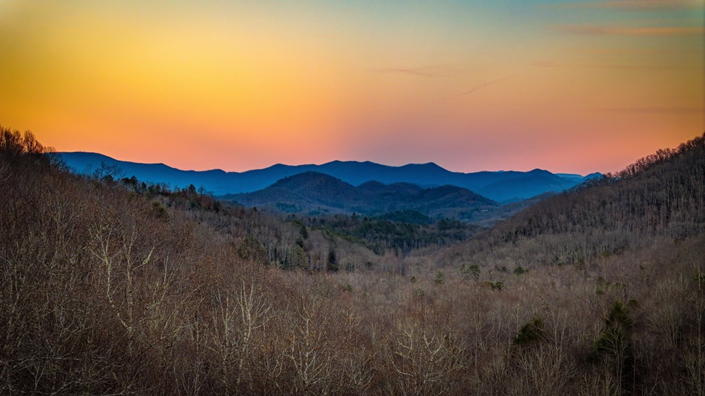 490 Red Wolf Run Franklin, NC 28734 - Photo 9 of 83