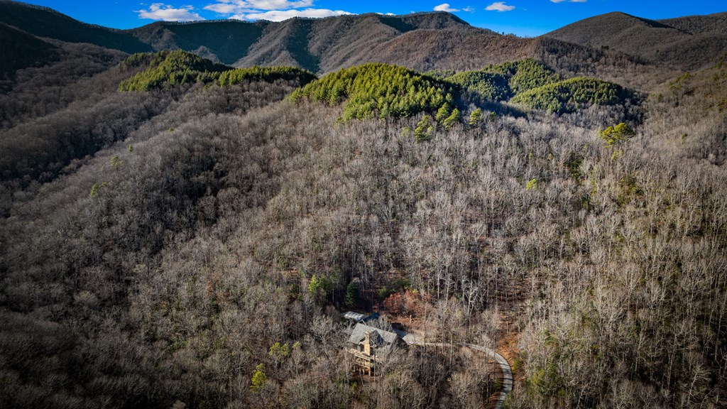 490 Red Wolf Run Franklin, NC 28734 - Photo 10 of 83