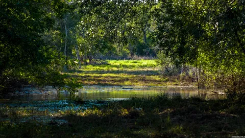 $966,000 | 18000 Fm 791, Campbellton, TX 78008
