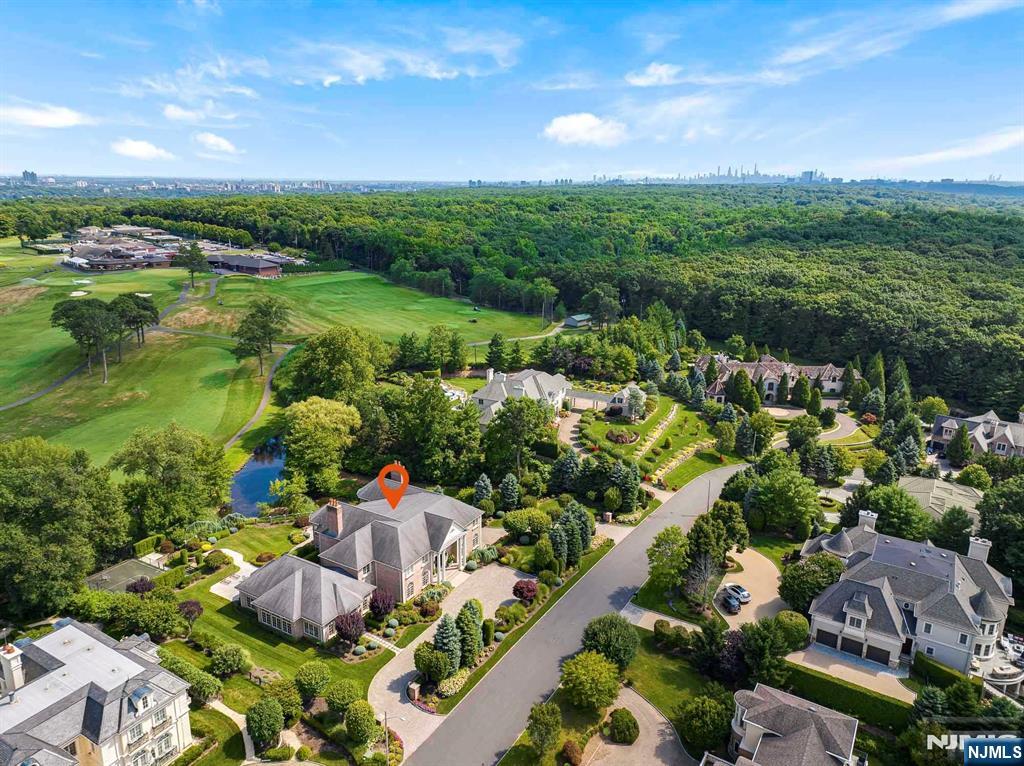 196 Vaccaro Drive Alpine, NJ 07620 - Photo 4 of 50 a view of a garden with houses