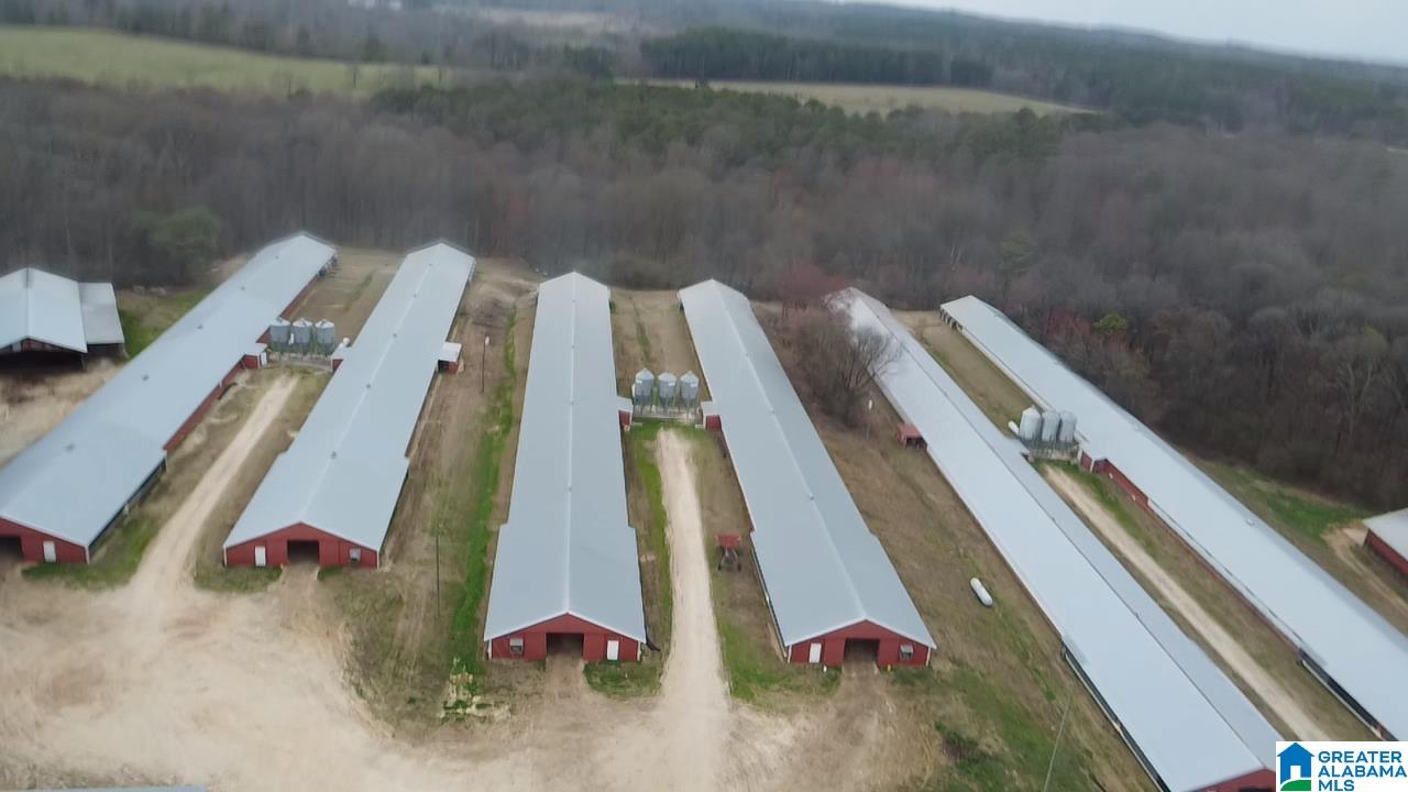 10171 County Road 87 Roanoke, AL 36274 - Photo 42 of 42