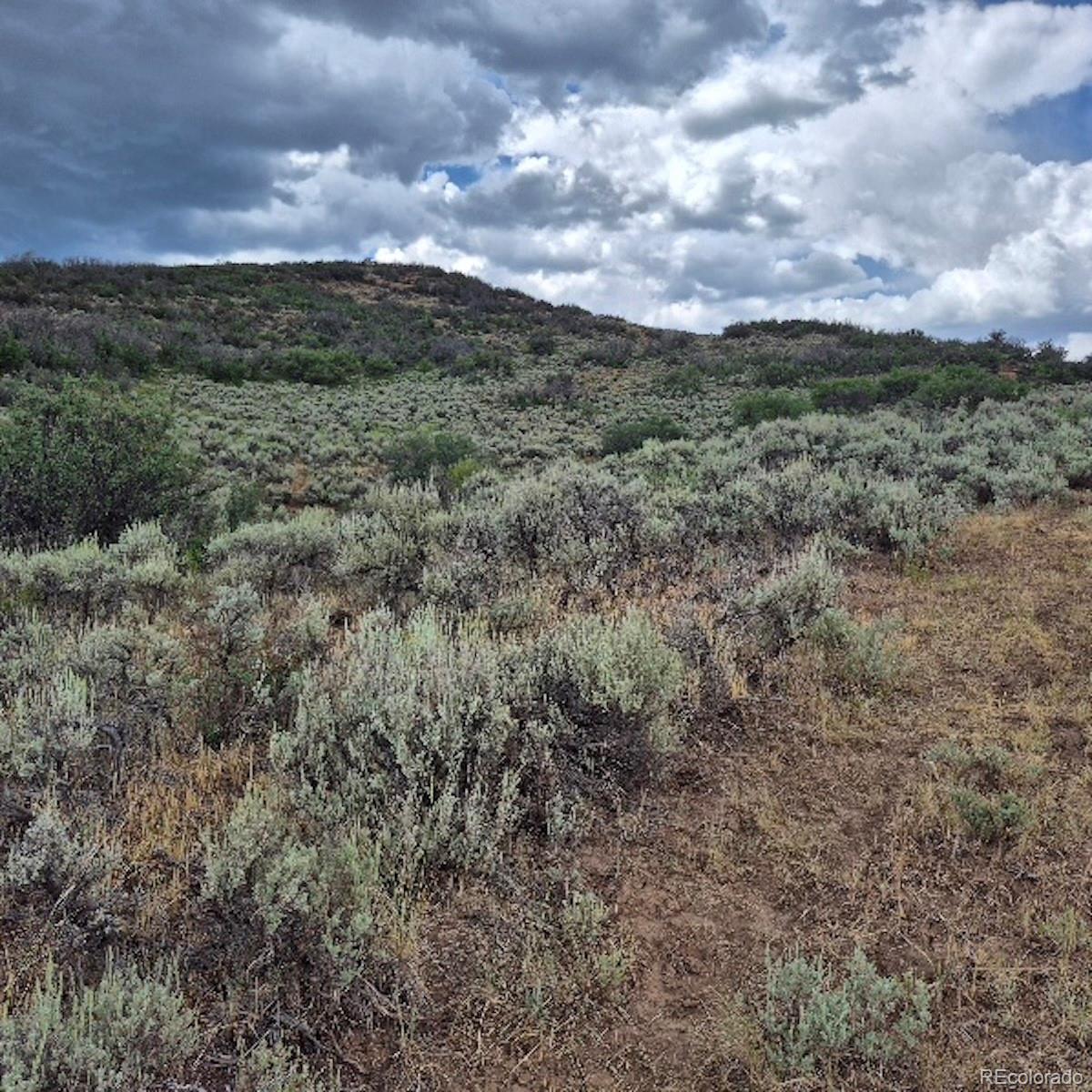 0 Harrison Creek Road Collbran, CO 81624 - Photo 33 of 40 Gallery Image 33