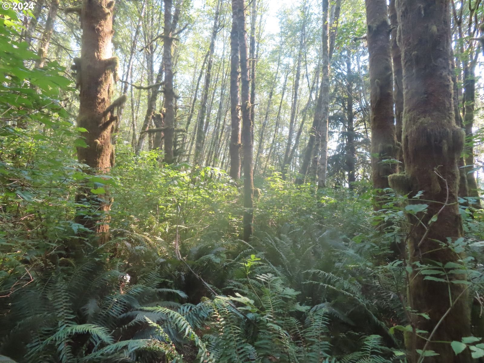 4 State Highway, Unit 7 Grays River, WA 98621 - Photo 11 of 16