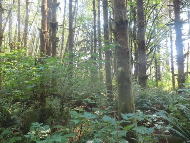 $135,000 | 4 State Highway, Unit 7, Grays River, WA 98621