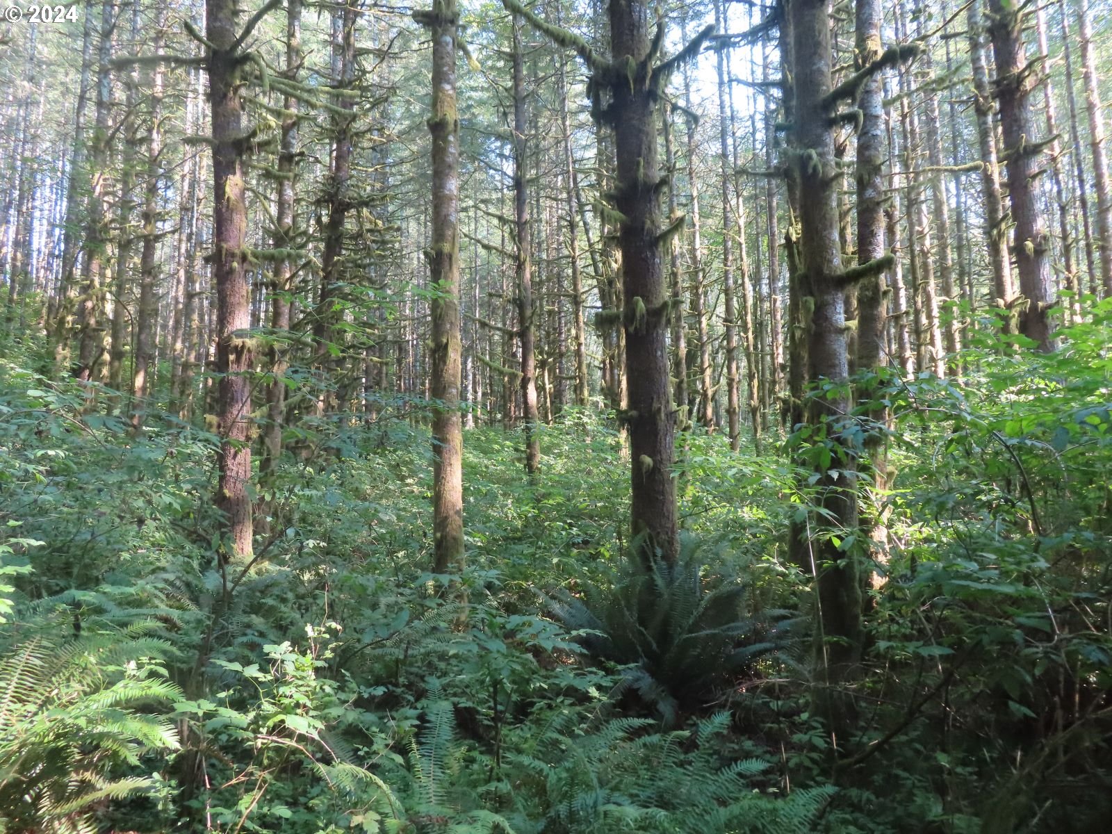 4 State Highway, Unit 7 Grays River, WA 98621 - Photo 13 of 16