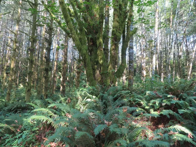 $135,000 | 4 State Highway, Unit 7, Grays River, WA 98621