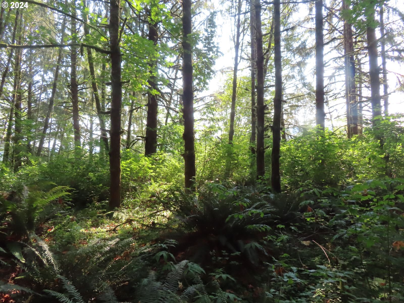 4 State Highway, Unit 7 Grays River, WA 98621 - Photo 15 of 16