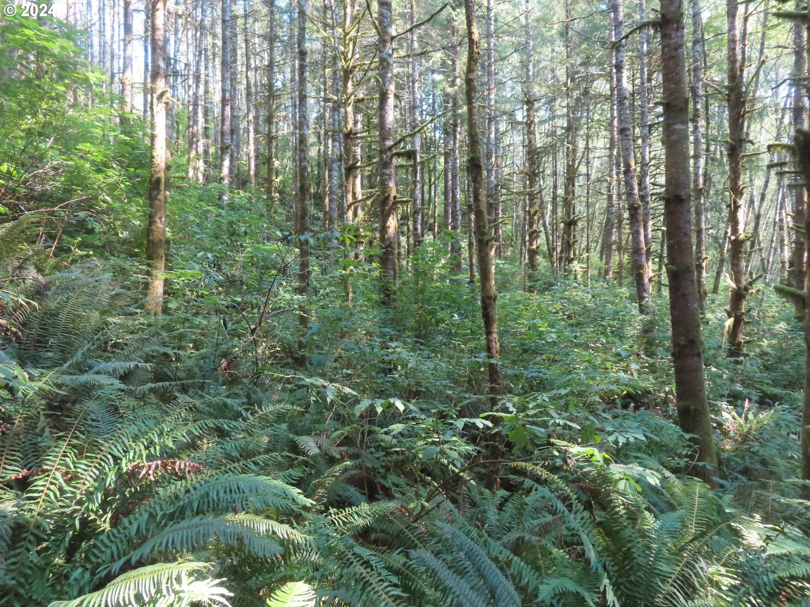 4 State Highway, Unit 7 Grays River, WA 98621 - Photo 16 of 16