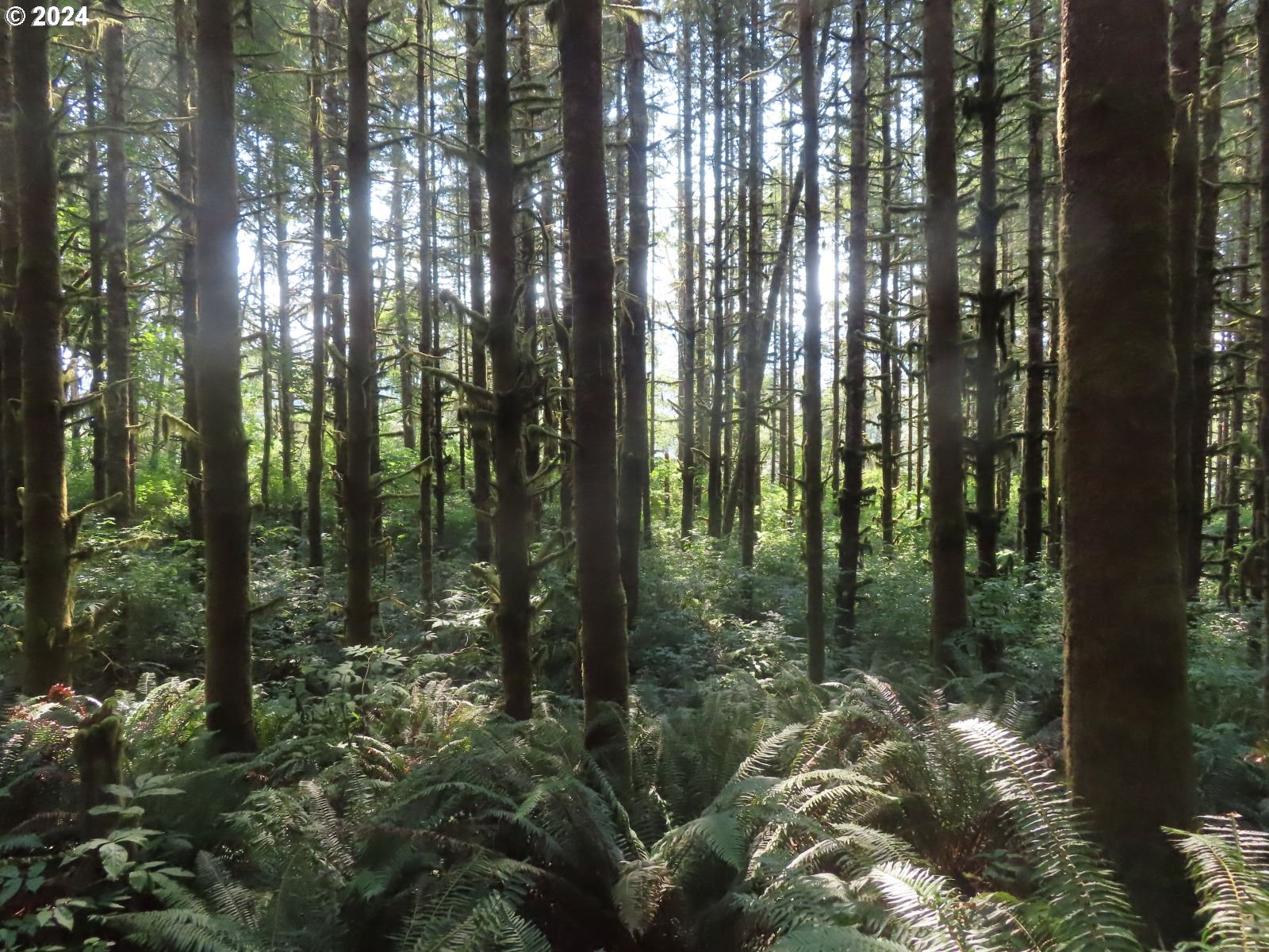 4 State Highway, Unit 7 Grays River, WA 98621 - Photo 2 of 16