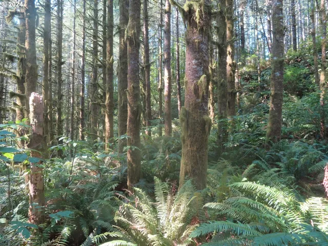 $135,000 | 4 State Highway, Unit 7, Grays River, WA 98621