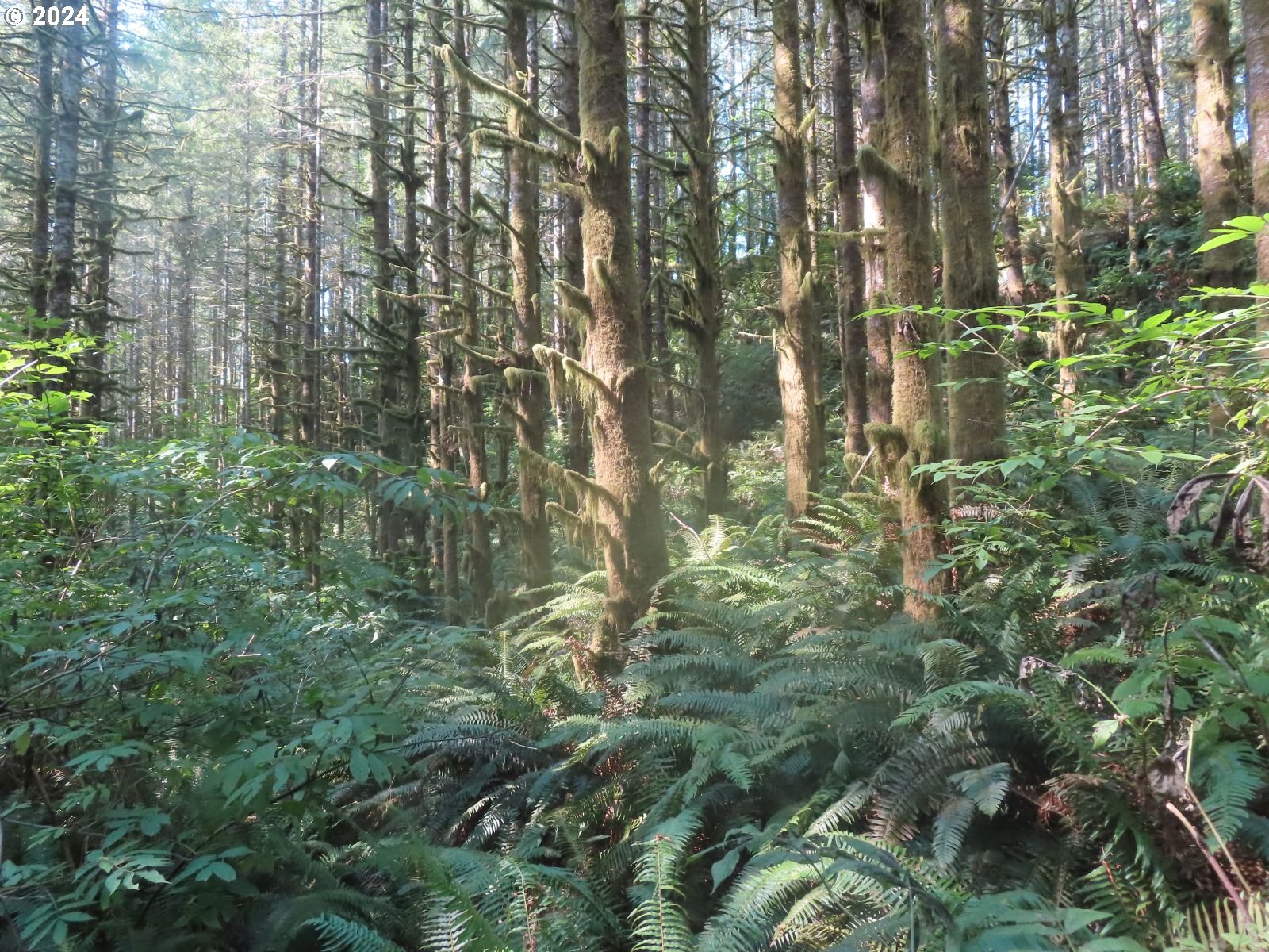 4 State Highway, Unit 7 Grays River, WA 98621 - Photo 5 of 16