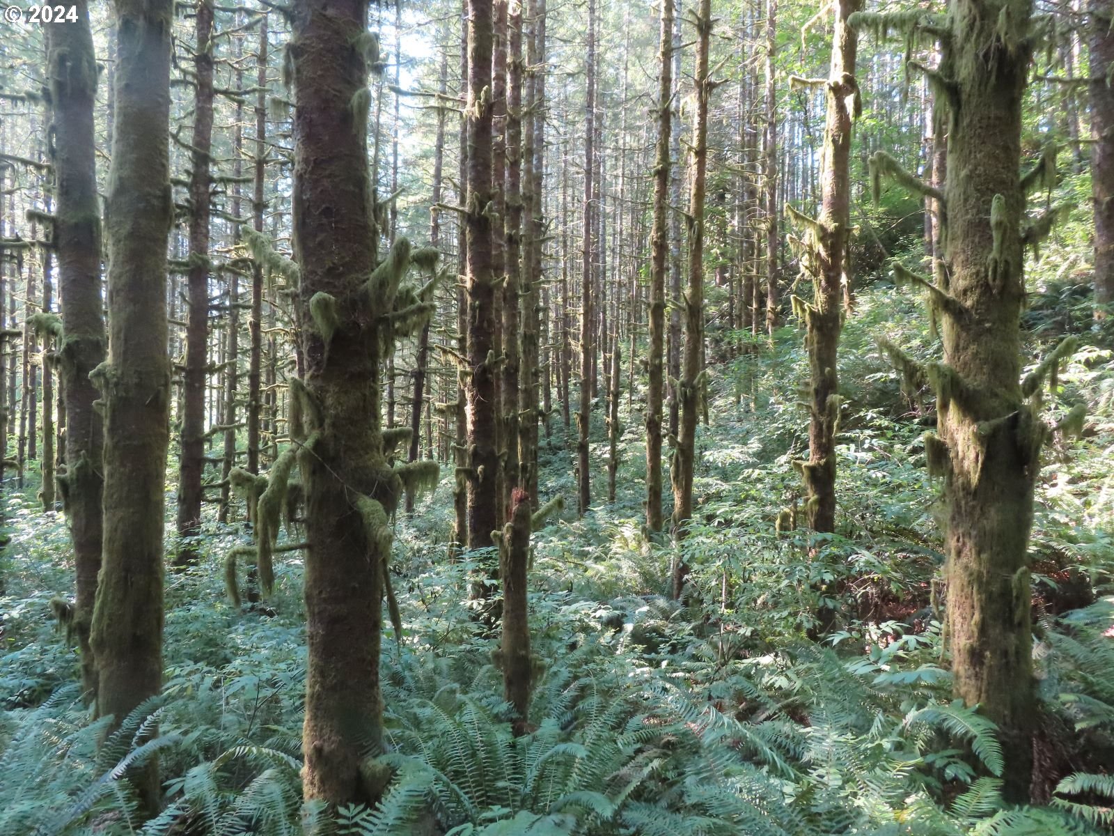 4 State Highway, Unit 7 Grays River, WA 98621 - Photo 7 of 16