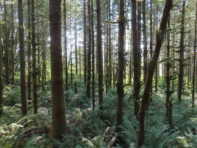 $135,000 | 4 State Highway, Unit 7, Grays River, WA 98621