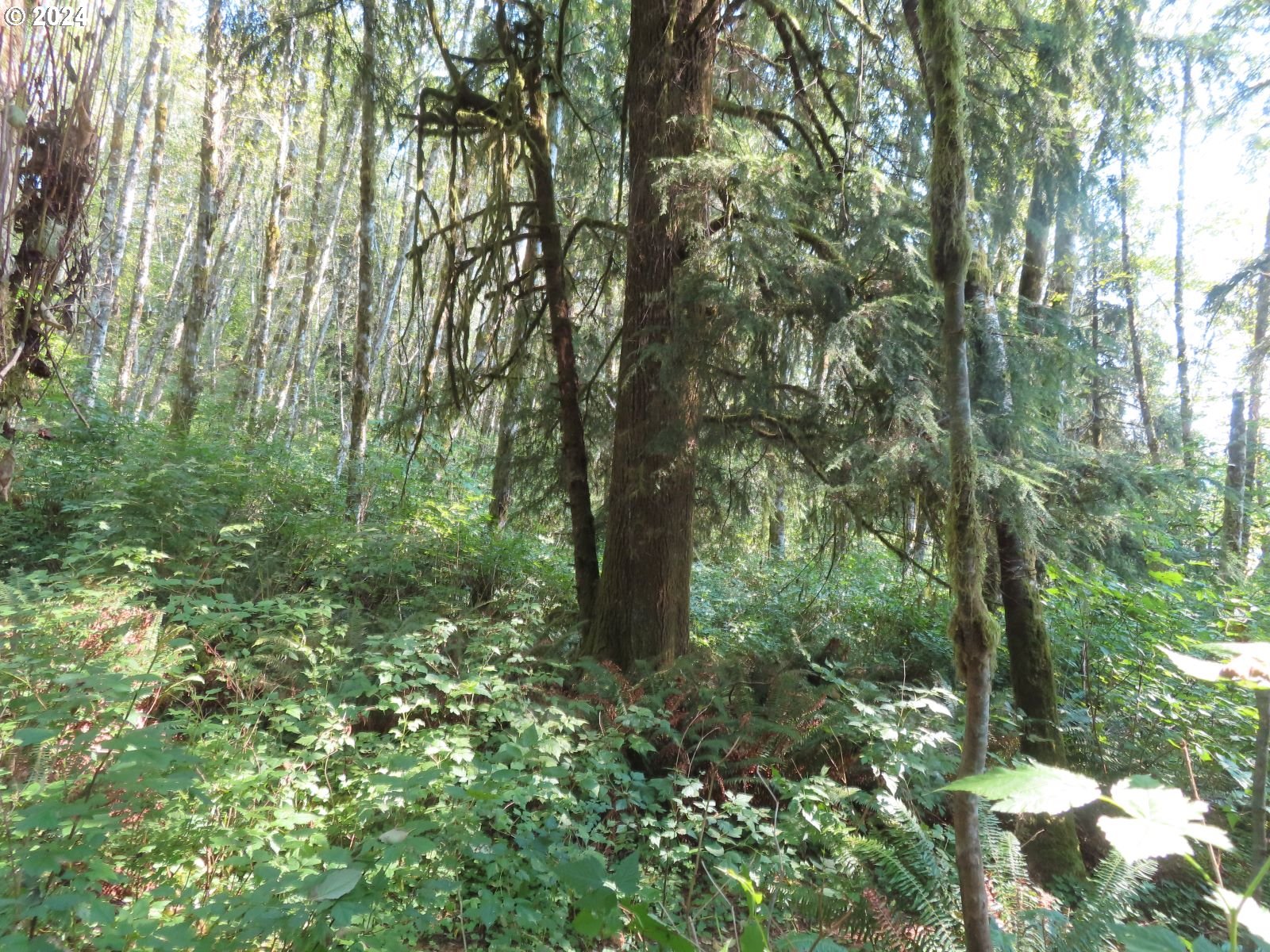 4 State Highway, Unit 7 Grays River, WA 98621 - Photo 9 of 16