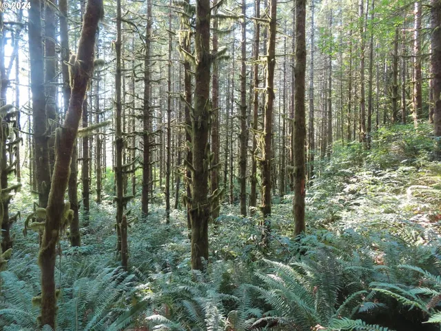 $135,000 | 4 State Highway, Unit 7, Grays River, WA 98621