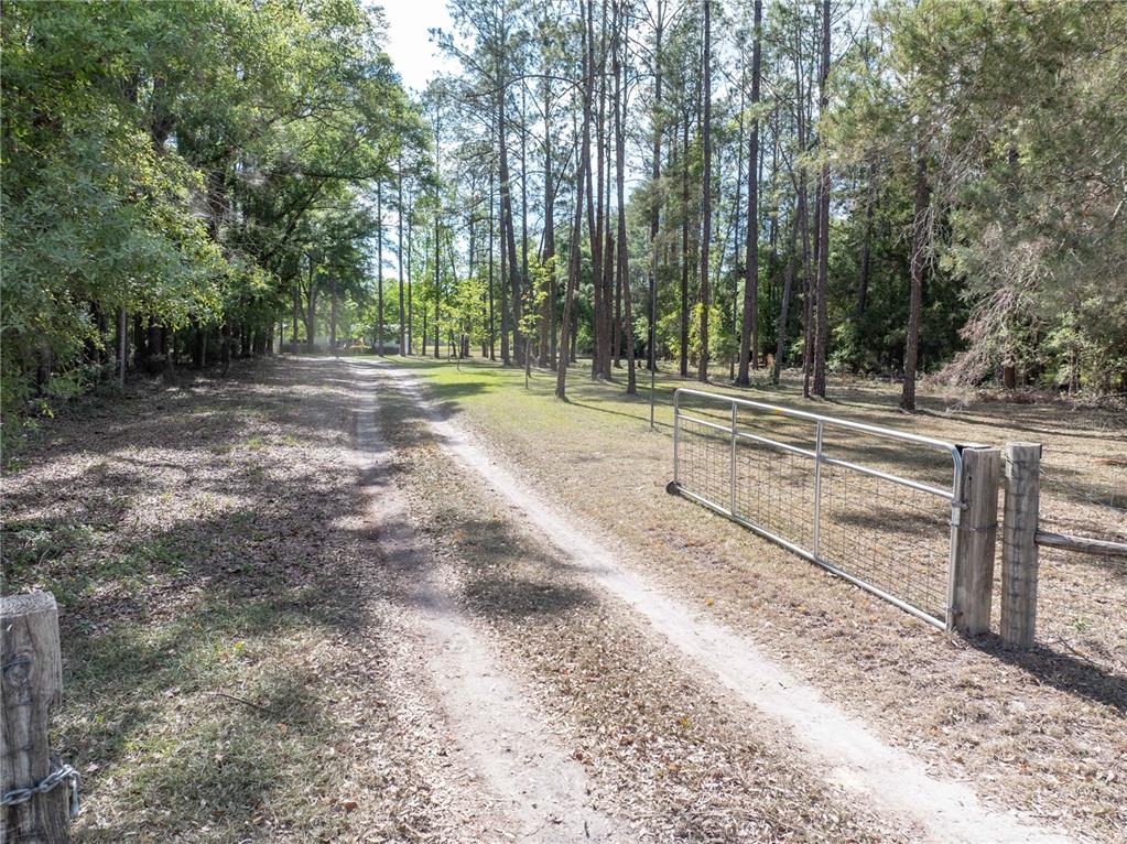159 Southwest 70th Avenue Bell, FL 32619 - Photo 28 of 42 a view of a yard with large trees