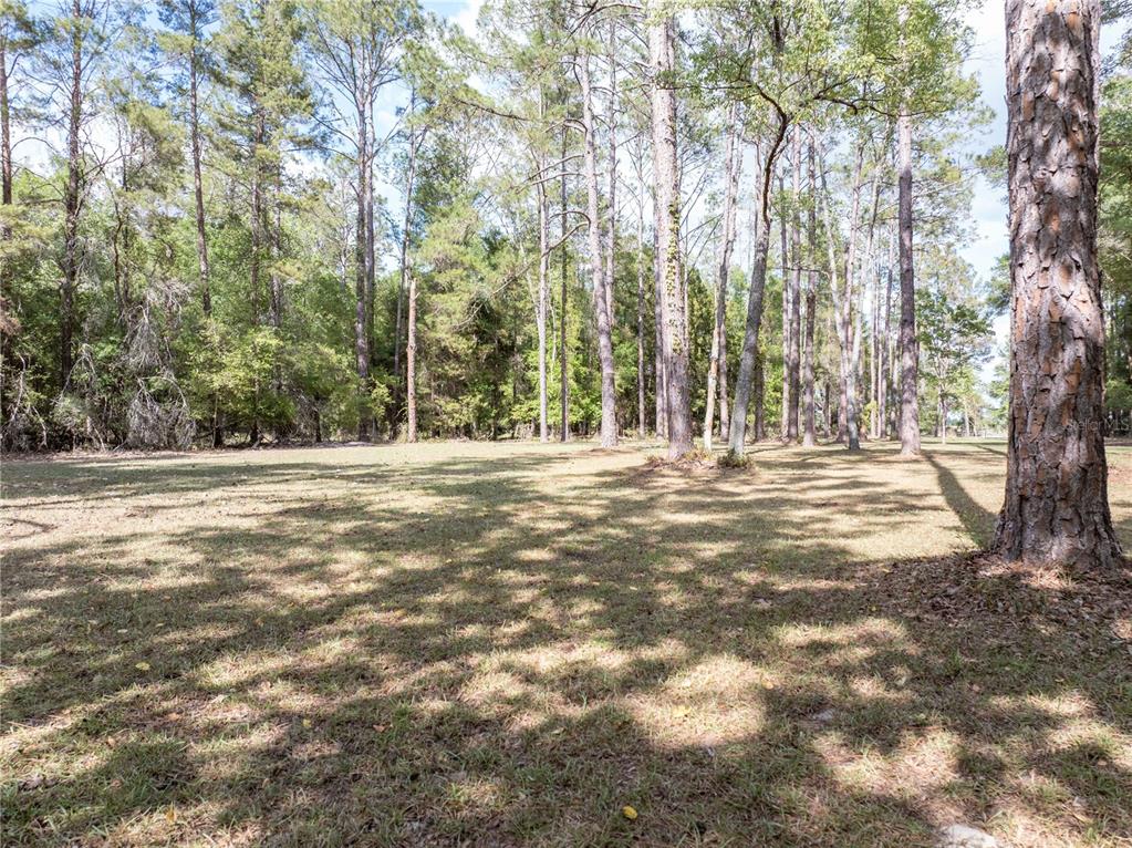 159 Southwest 70th Avenue Bell, FL 32619 - Photo 30 of 42 a view of outdoor space with trees