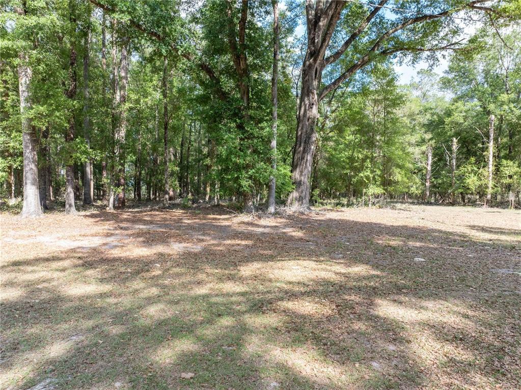 159 Southwest 70th Avenue Bell, FL 32619 - Photo 33 of 42 a view of outdoor space with trees