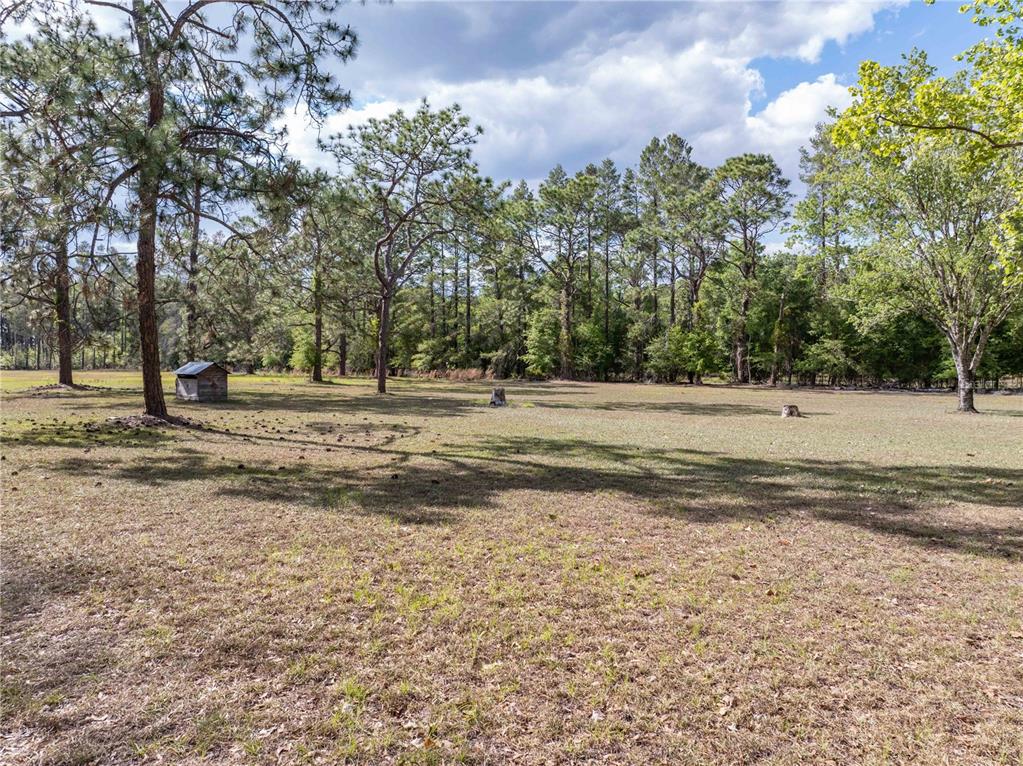 159 Southwest 70th Avenue Bell, FL 32619 - Photo 34 of 42 a view of a yard with large trees