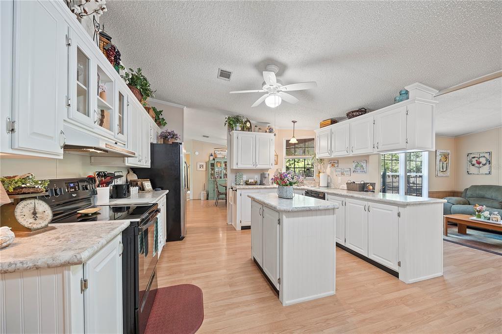 159 Southwest 70th Avenue Bell, FL 32619 - Photo 5 of 42 a kitchen with cabinets a sink and appliances
