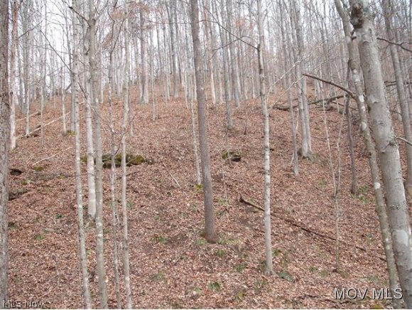 0 C Road Smithville, WV 26178 - Photo 9 of 9 Gallery Image 9