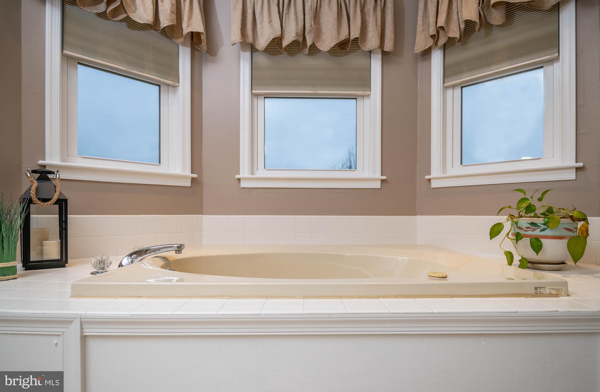1173 Cedar Top Road Reading, PA 19607 - Photo 20 of 34 Master Bathroom
