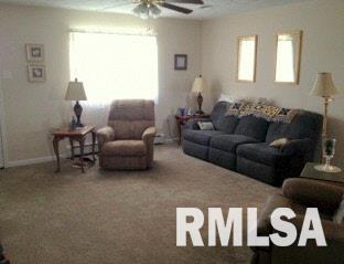 10123 Stotlar Road Marion, IL 62959 - Photo 3 of 13
