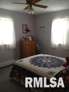 10123 Stotlar Road Marion, IL 62959 - Photo 8 of 13
