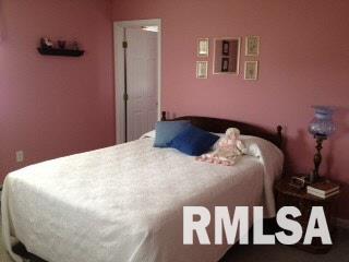 10123 Stotlar Road Marion, IL 62959 - Photo 9 of 13