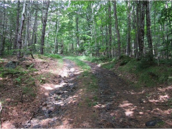 0 Rt 123 Marlow, NH 03456 - Photo 1 of 1 Gallery Image 1