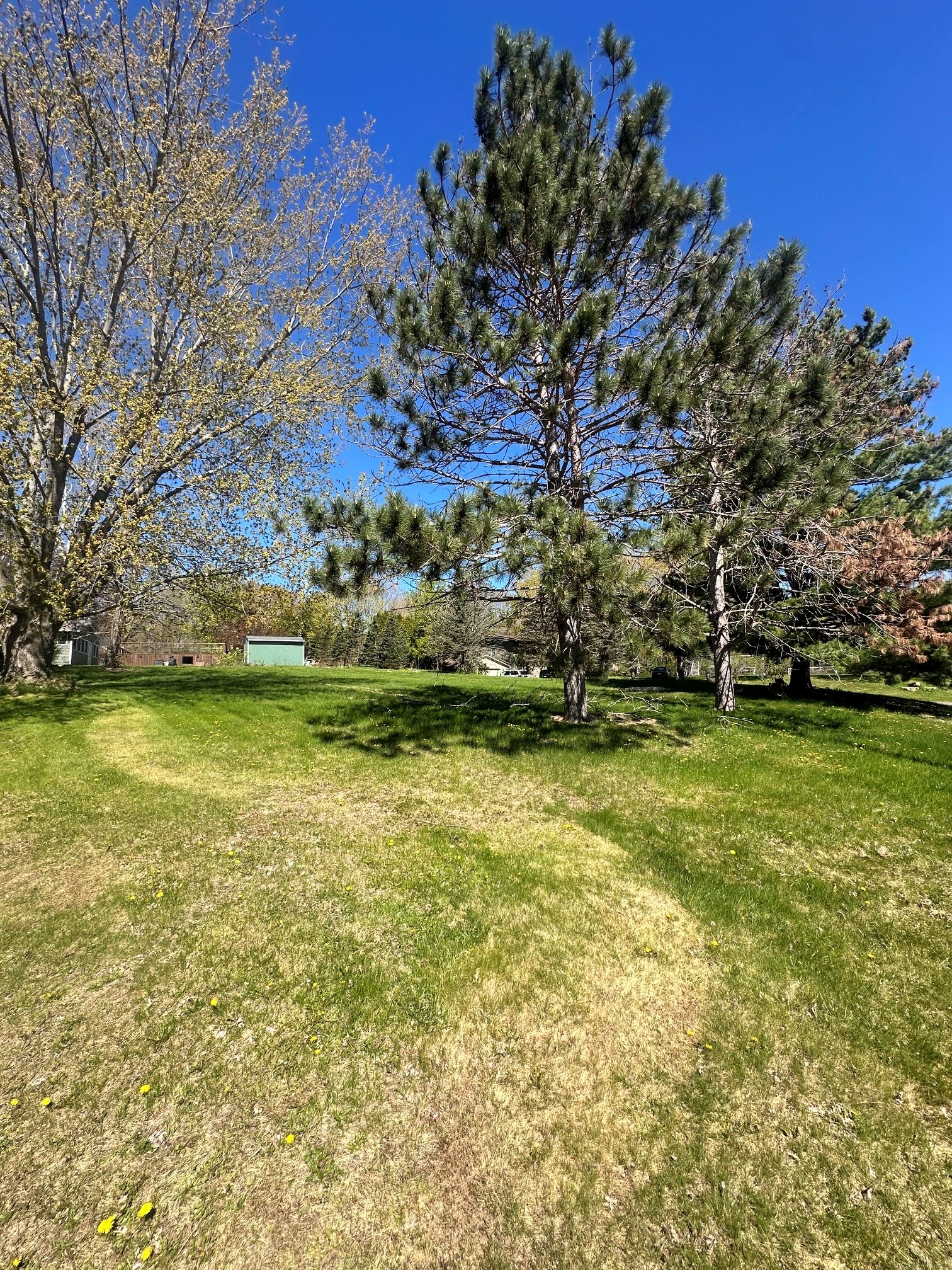Lot 5 Havel Road Rice Lake, WI 54868 - Photo 5 of 8