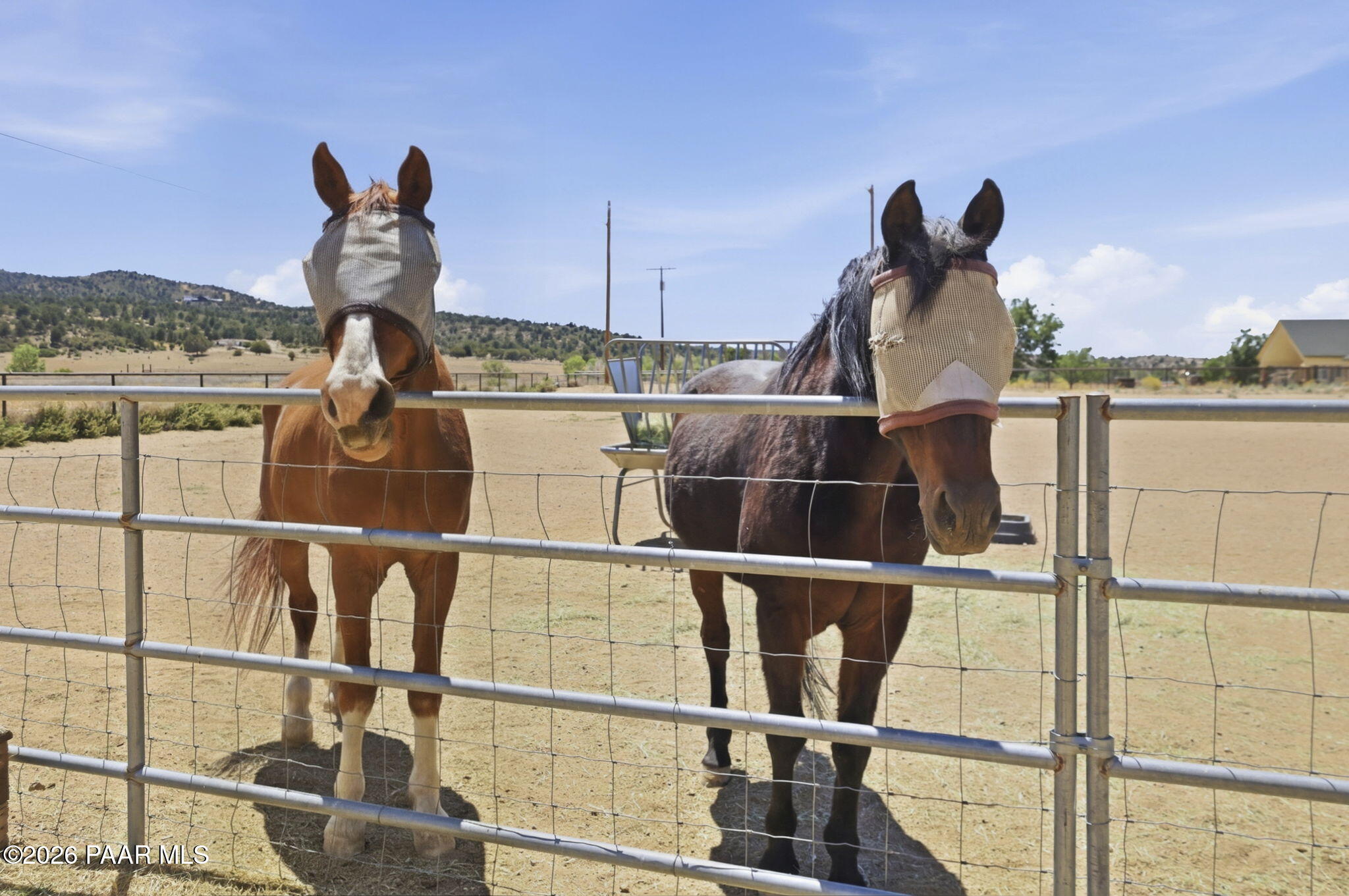 5275 West Stazenski Road Prescott, AZ 86305 - Photo 51 of 64 51-Stable