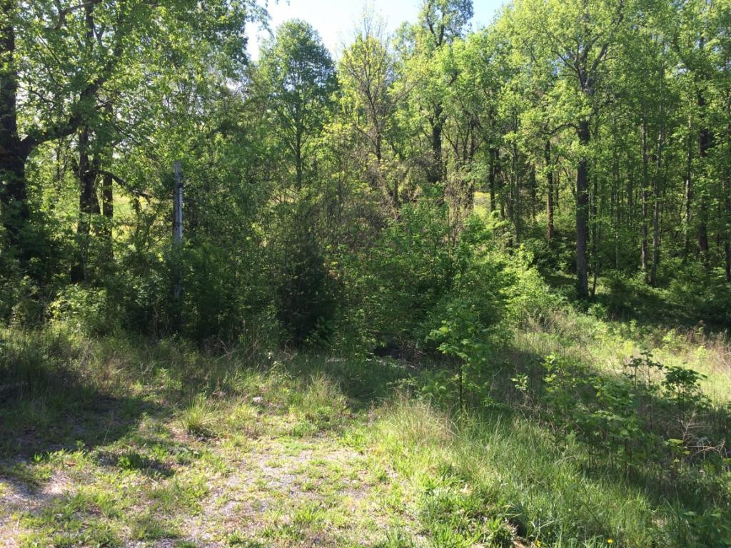 383 Cripple Creek Road Watauga, TN 37694 - Photo 1 of 2 Photo 1