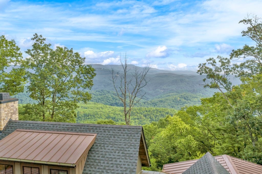 695 Goldenrod Road Boone, NC 28607 - Photo 2 of 50