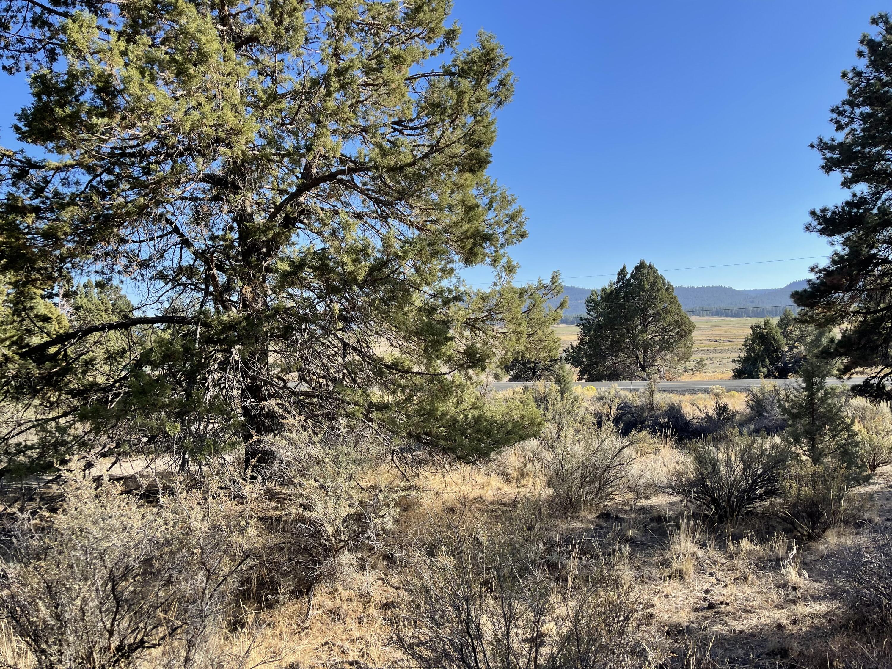 Drews Road Chiloquin, OR 97624 - Photo 3 of 18 IMG_5797