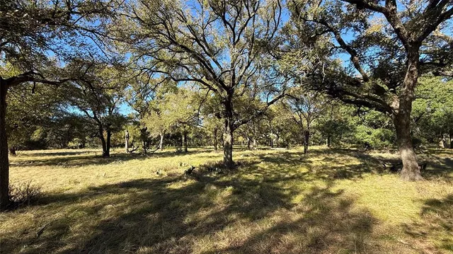 a view of a yard with trees