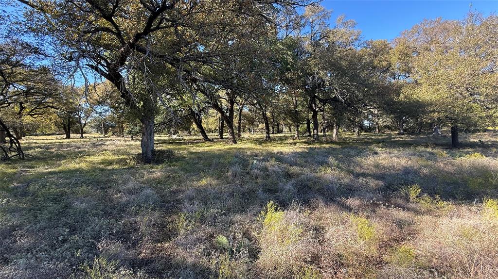 1383 County Road 1110 Meridian, TX 76665 - Photo 5 of 16 a view of dirt yard with a tree
