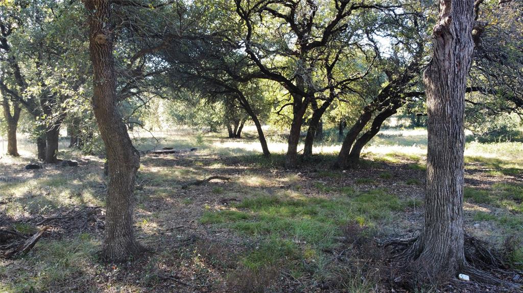 1383 County Road 1110 Meridian, TX 76665 - Photo 7 of 16