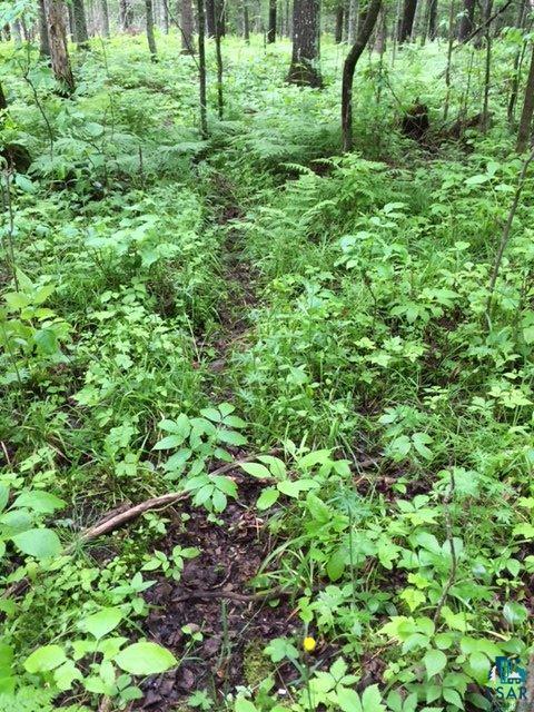 Two Hill Road Two Harbors, MN 55616 - Photo 15 of 24 Gallery Image 15