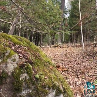 Two Hill Road Two Harbors, MN 55616 - Photo 19 of 24 Gallery Image 19