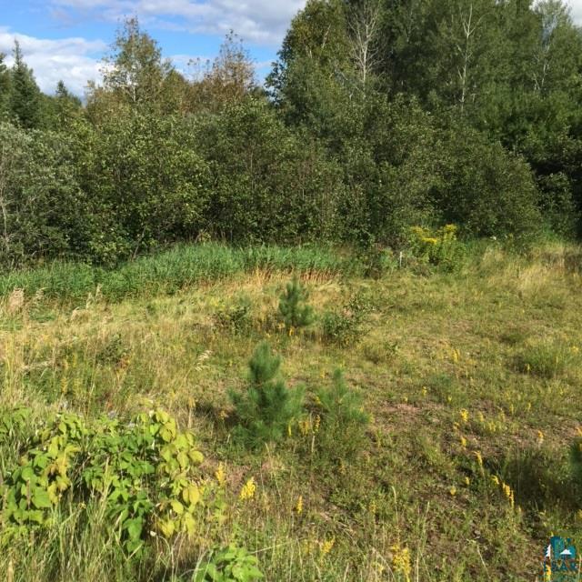 Two Hill Road Two Harbors, MN 55616 - Photo 2 of 24 Gallery Image 2