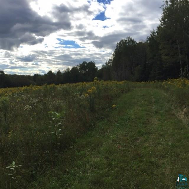 Two Hill Road Two Harbors, MN 55616 - Photo 3 of 24 Gallery Image 3