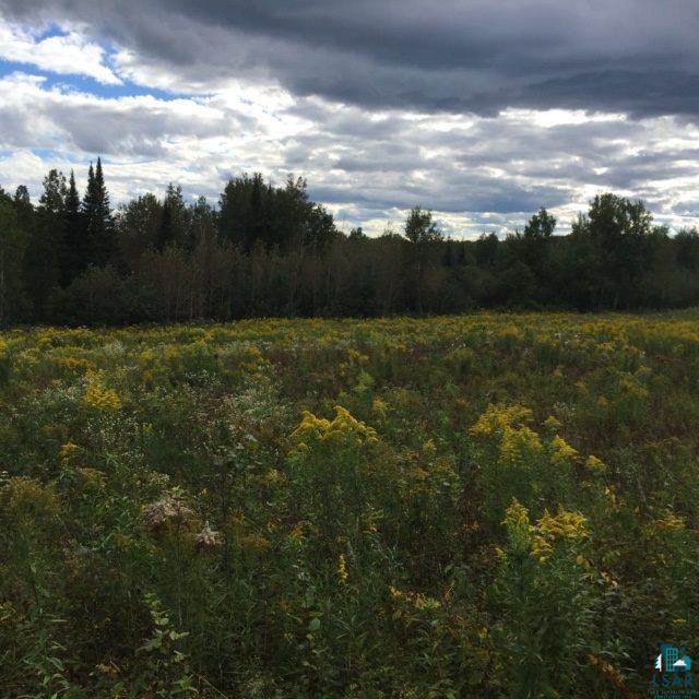 Two Hill Road Two Harbors, MN 55616 - Photo 4 of 24 Gallery Image 4