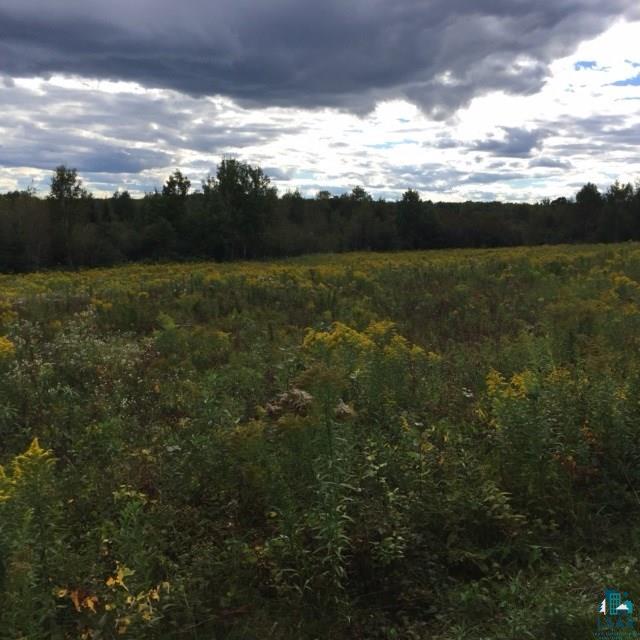 Two Hill Road Two Harbors, MN 55616 - Photo 5 of 24 Gallery Image 5