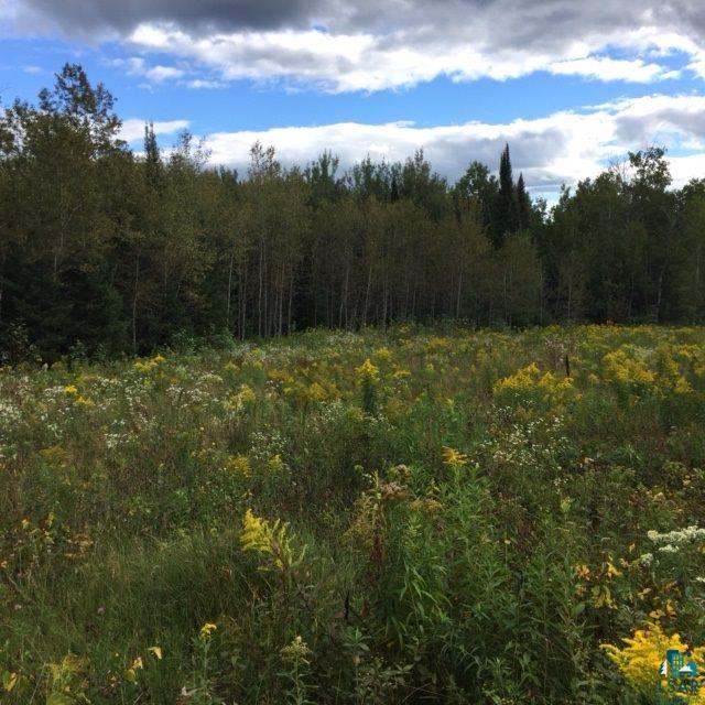 Two Hill Road Two Harbors, MN 55616 - Photo 6 of 24 Gallery Image 6