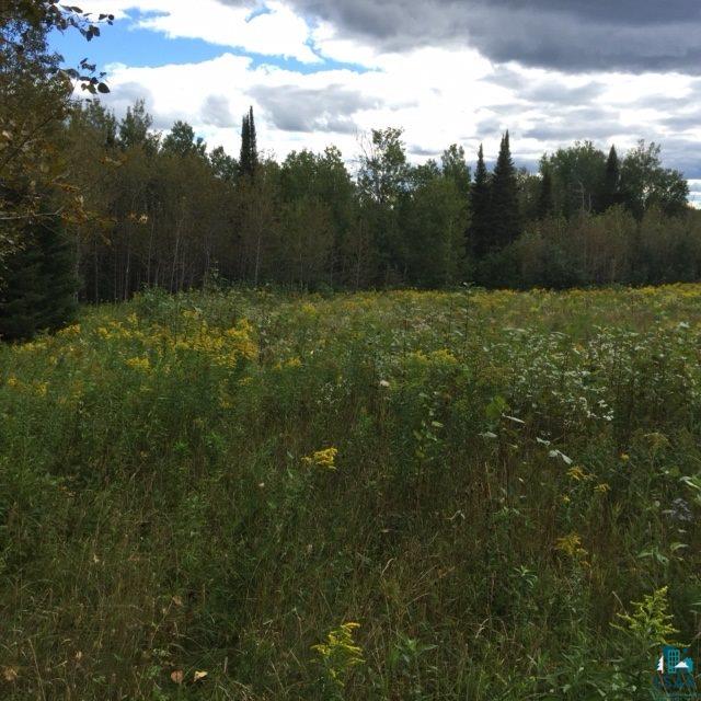 Two Hill Road Two Harbors, MN 55616 - Photo 7 of 24 Gallery Image 7